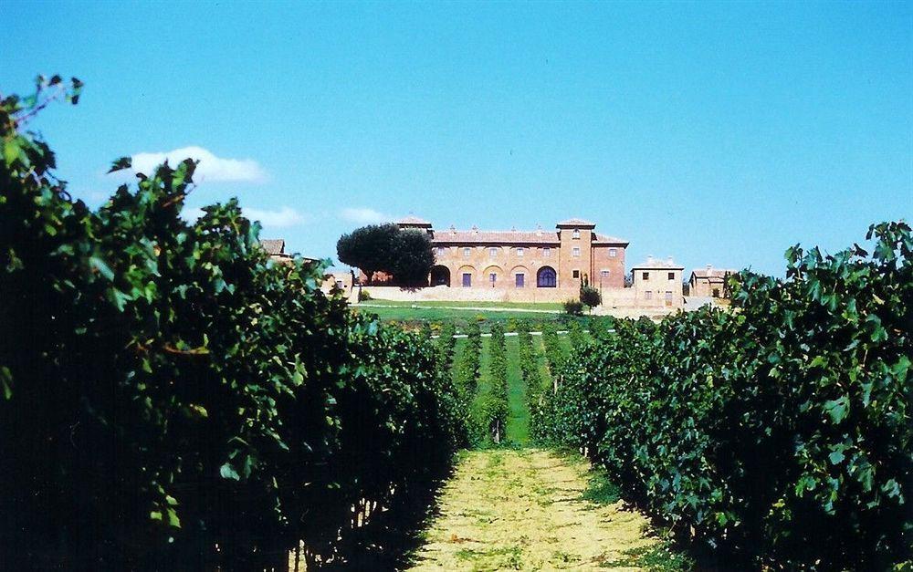 Agriturismo Terra Rossa Valiano Buitenkant foto