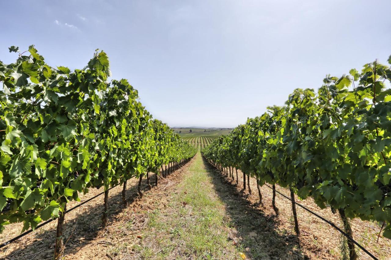 Agriturismo Terra Rossa Valiano Buitenkant foto